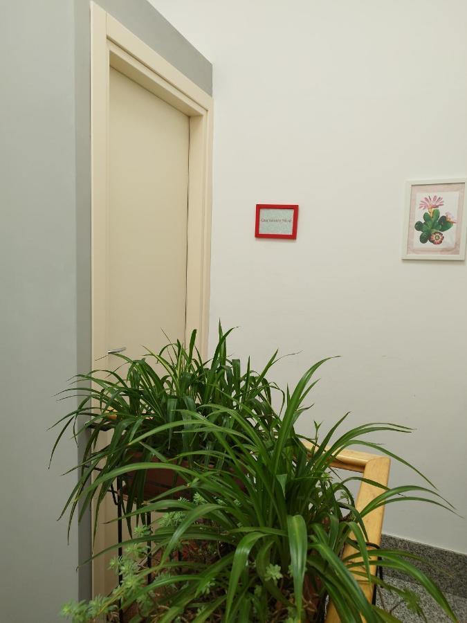 Casa Nicole Apartment กัสเตลบูโอโน ภายนอก รูปภาพ